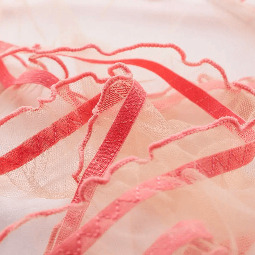 Lingeries Féminine Culotte en Tulle transparente