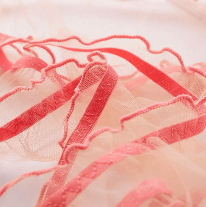 Lingeries Féminine Culotte en Tulle transparente
